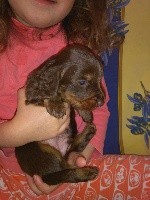 CHIOT